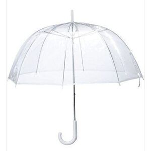 Clear Dome Umbrella (THEY'RE BACK 🎉)